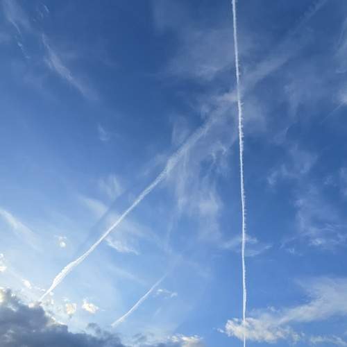 Photo #13737879