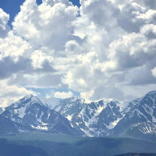 Photo #13737880