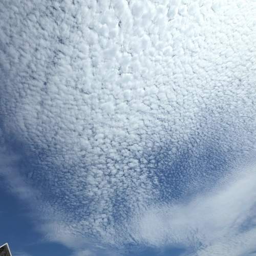 Photo #13737890