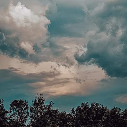 Photo #13737903