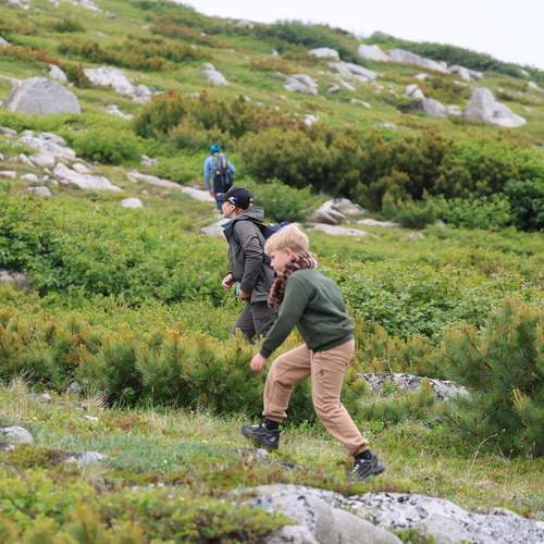 Photo #13737931