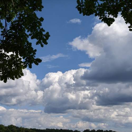 Photo #13737939