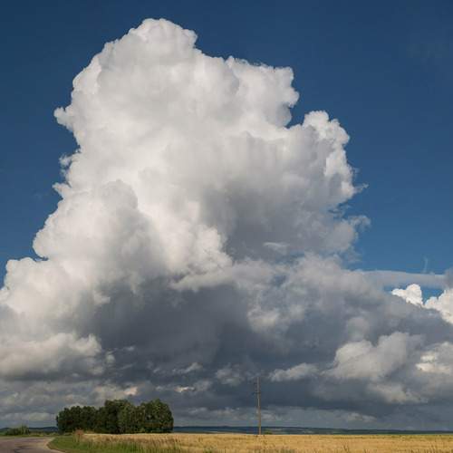 Photo #13737940