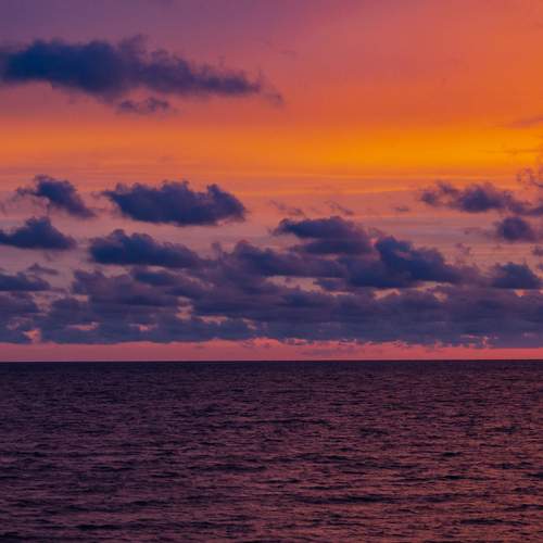 Photo #13737967