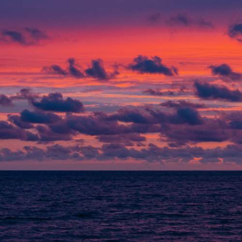 Photo #13737968