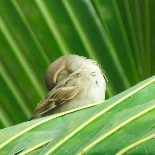 Photo #13737998
