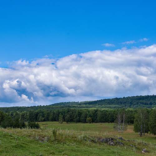 Photo #13738007