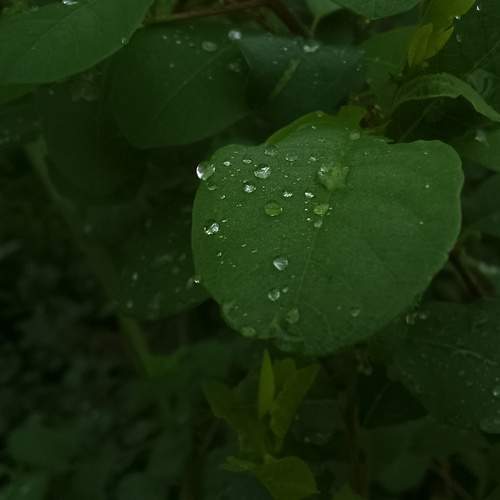 Photo #13738012
