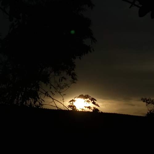 Photo #13738013