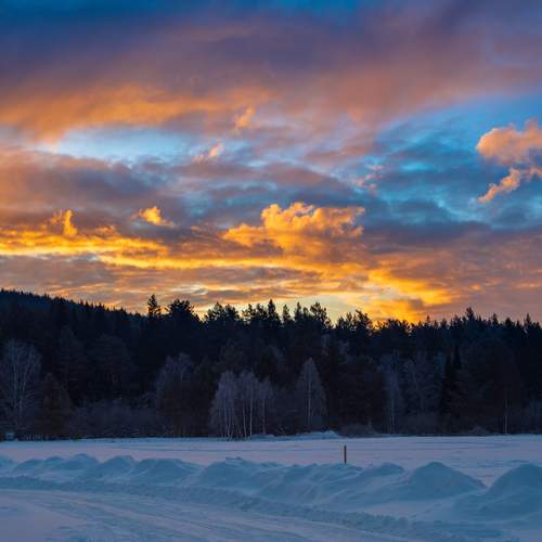 Photo #13738019