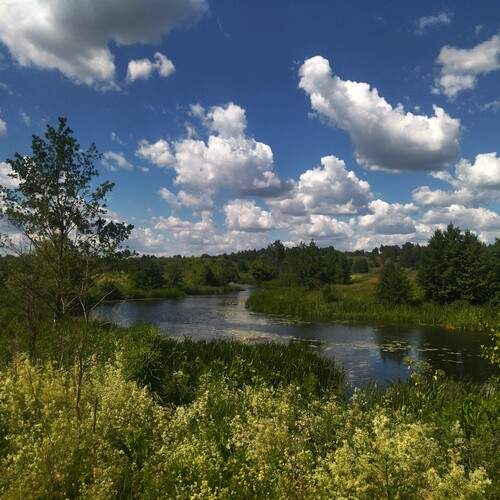 Photo #13738026