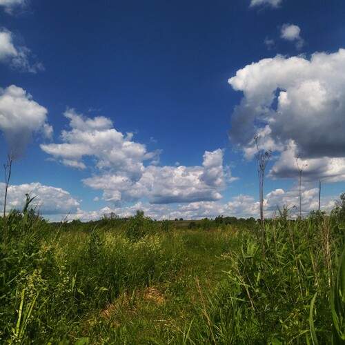 Photo #13738029