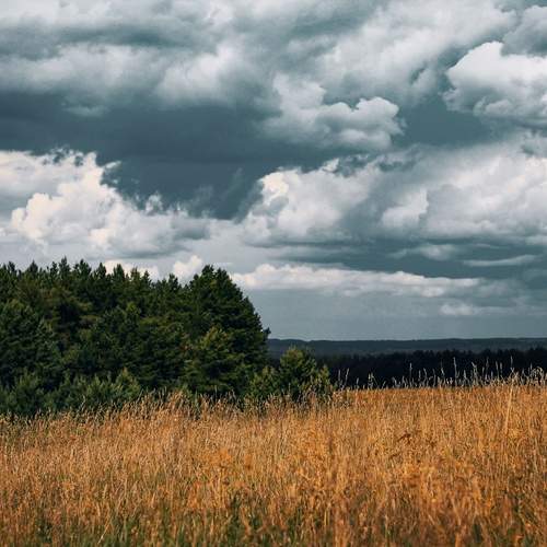 Photo #13738034