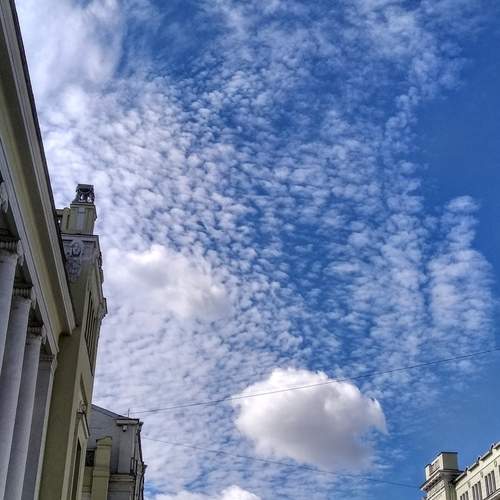 Photo #13738038