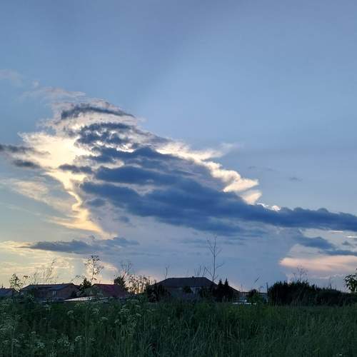 Photo #13738047