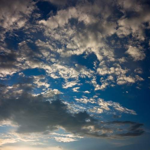 Photo #13738053