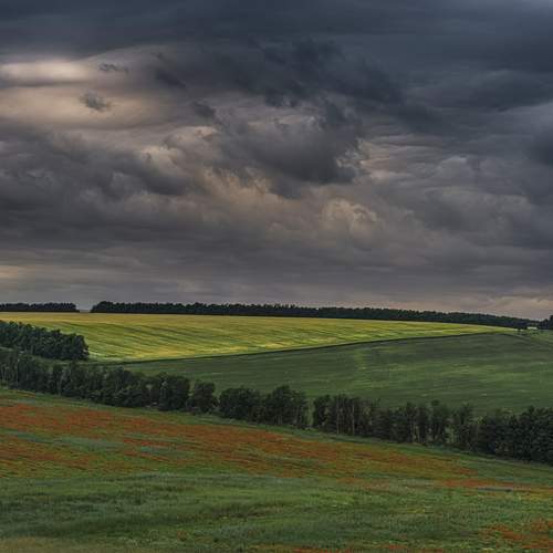 Photo #13738055