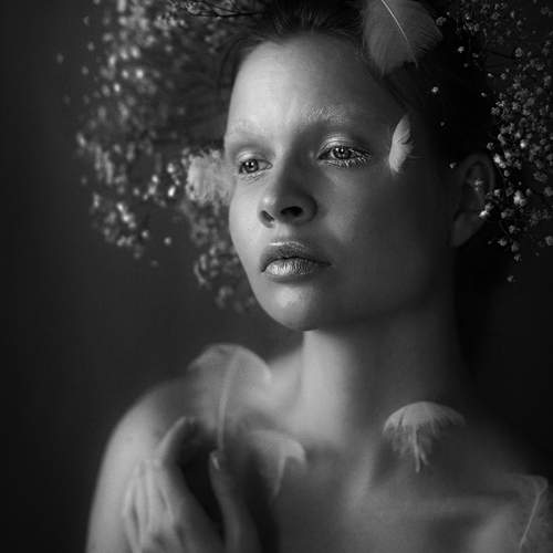 Photo #13738151