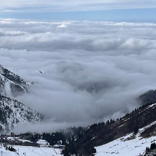 Photo #13738160