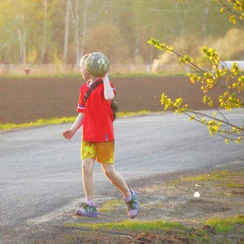 Photo #13738164