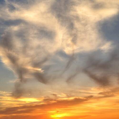 Photo #13738172