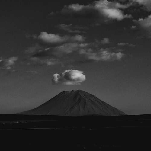 Photo #13738227