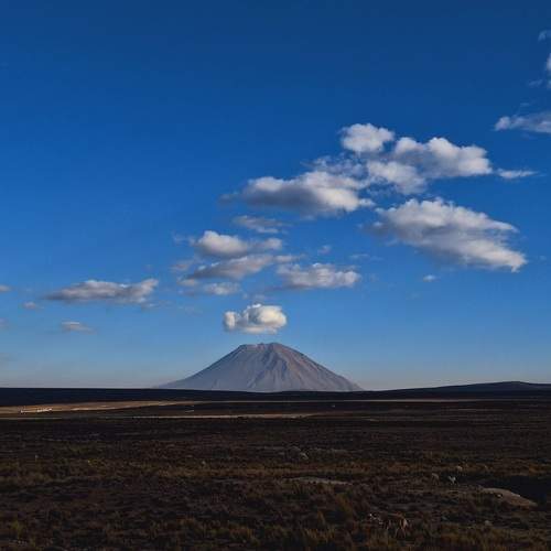 Photo #13738228