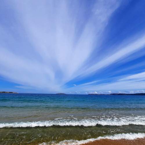Photo #13738238