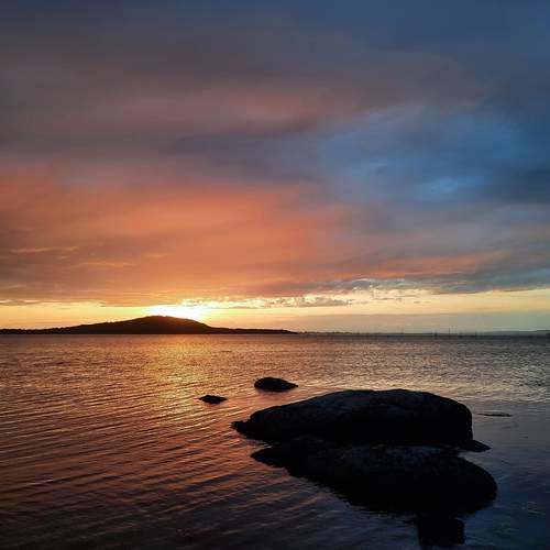 Photo #13738239