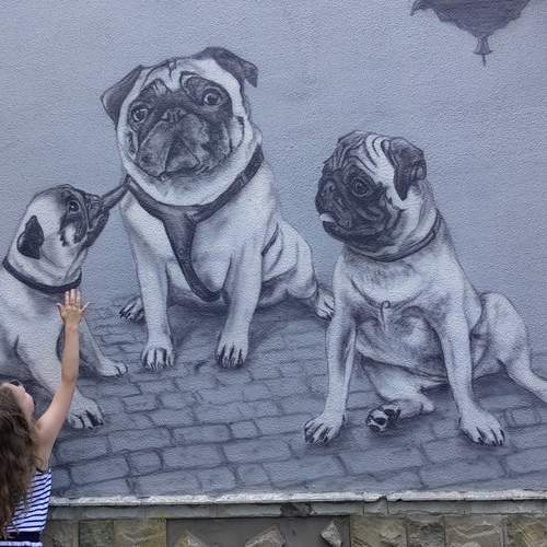 Photo #13738241