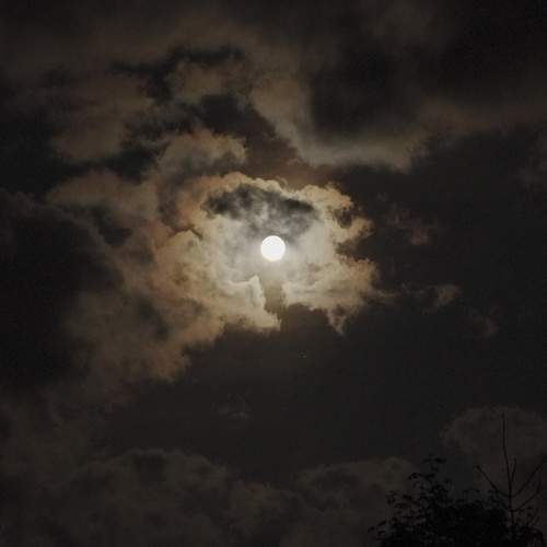 Photo #13738242