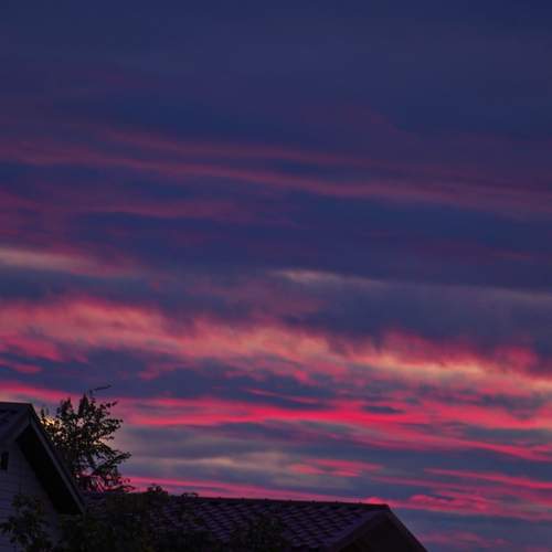 Photo #13738243