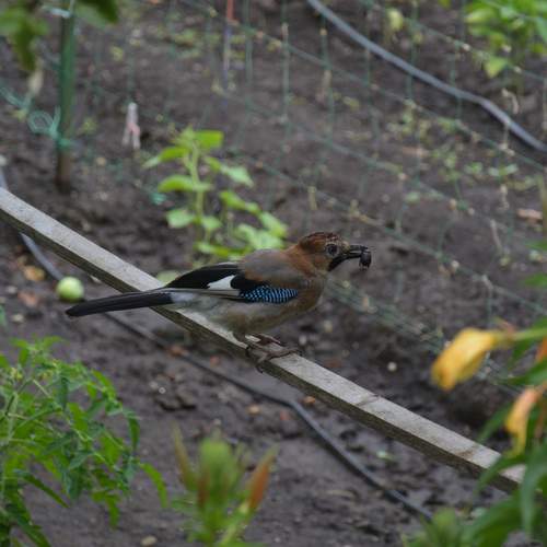 Photo #13738245