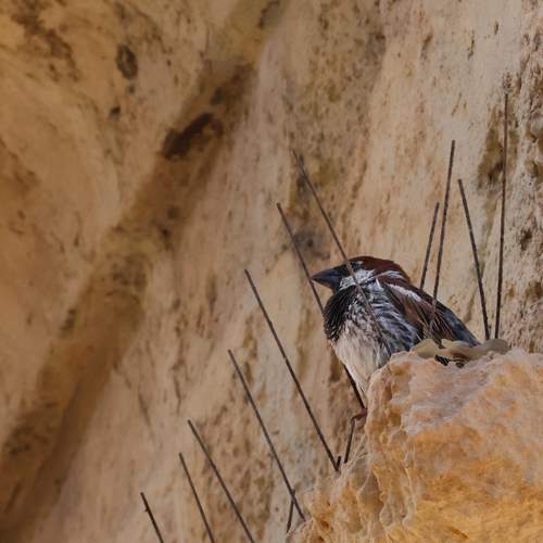 Photo #13738247