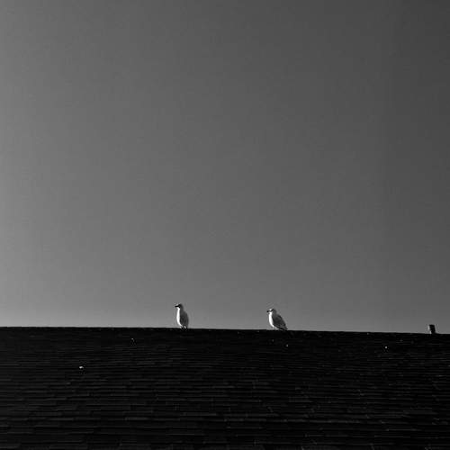 Photo #13738258