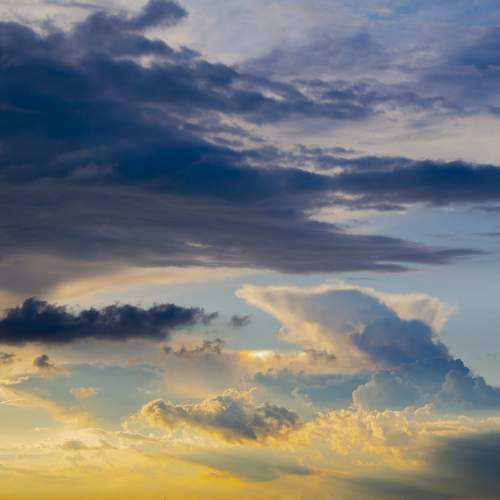 Photo #13738269
