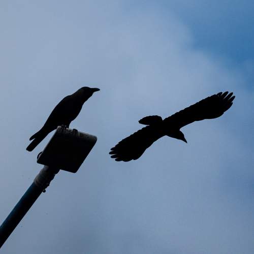 Photo #13738287