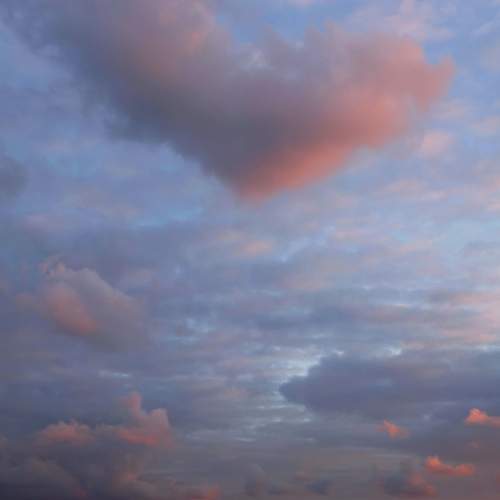 Photo #13738294