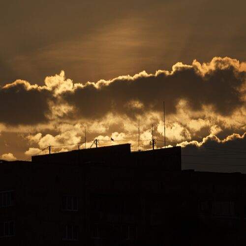 Photo #13738311