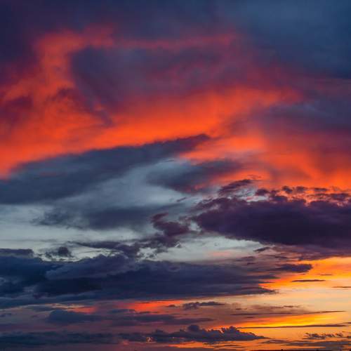 Photo #13738330