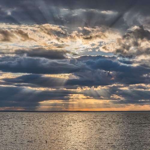 Photo #13738350