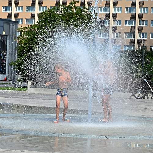 Photo #13738383