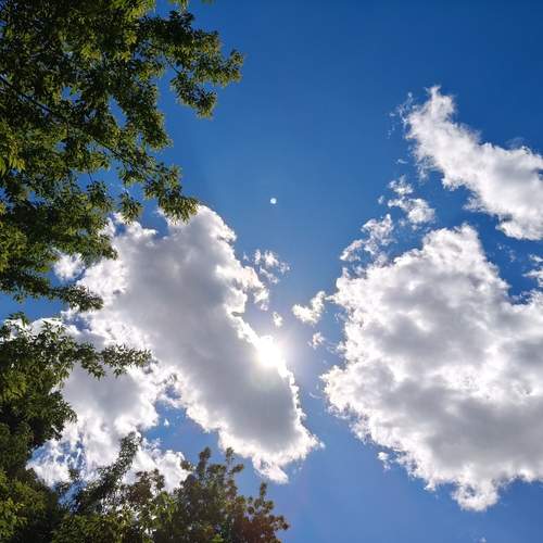 Photo #13738408