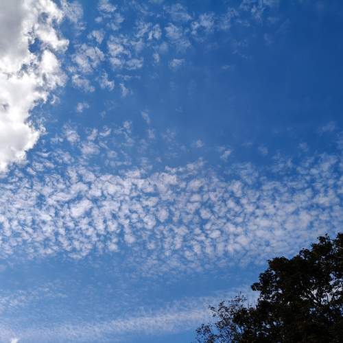 Photo #13738418