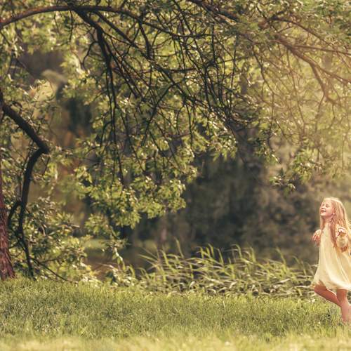 Photo #13738425