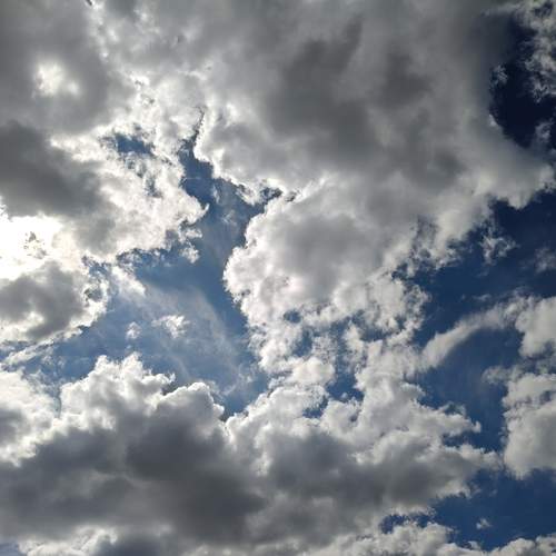 Photo #13738433