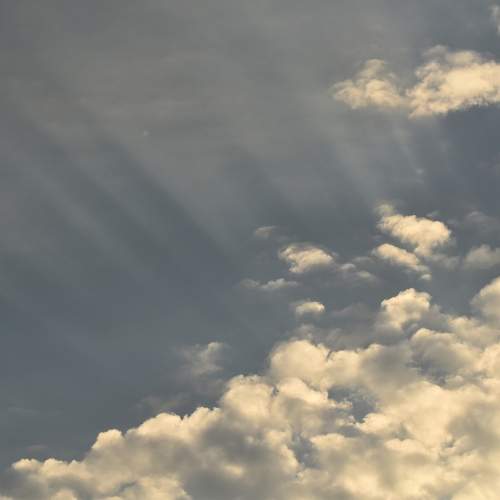 Photo #13738451