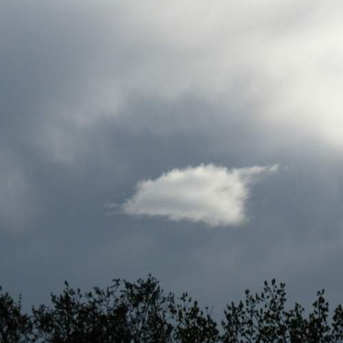 Photo #13738466