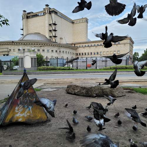 Photo #13738474