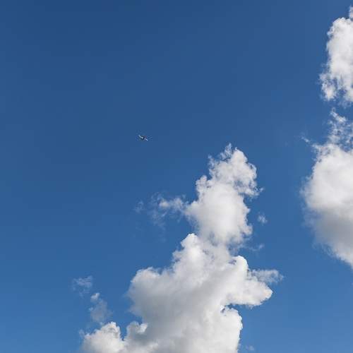 Photo #13738482